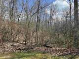 13135 Ravine Trail - Photo 2