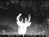 8112 County Road 1000 N - Photo 22
