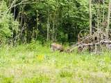 8880 1150 E Road - Photo 19
