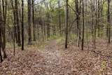 12.6 Acres Deer Lake Drive - Photo 6