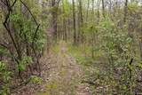 12.6 Acres Deer Lake Drive - Photo 8