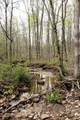 12.6 Acres Deer Lake Drive - Photo 9