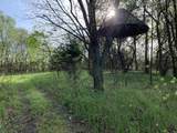 8771 West Shafer Drive - Photo 12