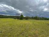 TBD Heltonville E Road - Photo 8