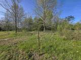 53369 Old Farm Road - Photo 4