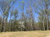  Lot 86 Drive - Photo 6