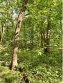 0 Scales Road - Photo 4
