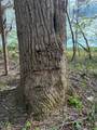 785 1025 S Road - Photo 8