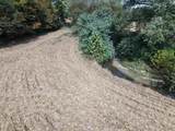 96.6 AC Reinhart Road - Photo 12