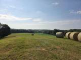 96.6 AC Reinhart Road - Photo 6