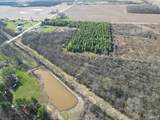 19.6+/- Acres St Rd 1 - Photo 11
