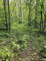 36.65 Acres St Rd 14 - Photo 13