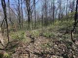 0 Old Us 52 Road - Photo 10