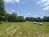 6227 Hackers Creek Road - Photo 4