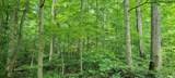  High Gap Road - Photo 12