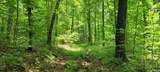  High Gap Road - Photo 13