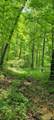  High Gap Road - Photo 14