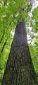  High Gap Road - Photo 15