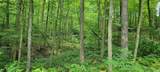  High Gap Road - Photo 19