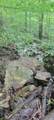 High Gap Road - Photo 23