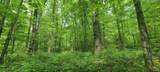  High Gap Road - Photo 24