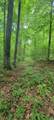  High Gap Road - Photo 25