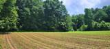  High Gap Road - Photo 7