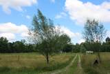 3489 River Camp Road - Photo 4