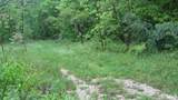 TBD Bailey Scales Road - Photo 2