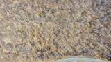 7860 In-166 Highway - Photo 21