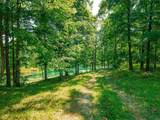 13817 Old State Road - Photo 24