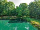 13817 Old State Road - Photo 7