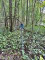  Peggy Hollow Road - Photo 11