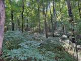  Peggy Hollow Road - Photo 12