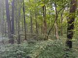  Peggy Hollow Road - Photo 15