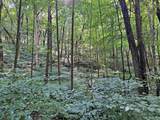  Peggy Hollow Road - Photo 16