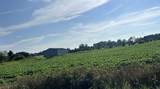 959 County Road 28 - Photo 8