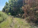 TBD State Road 161 - Photo 7