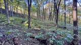 5139 Peggy Hollow Road - Photo 18