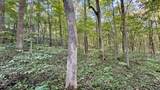 5139 Peggy Hollow Road - Photo 20