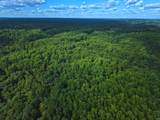 6180 Handy Road - Photo 9