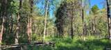 96+/- Acres Emmons Ridge Road - Photo 13
