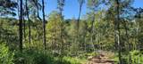 96+/- Acres Emmons Ridge Road - Photo 20