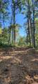 Lot 1 Emmons Ridge Road - Photo 8
