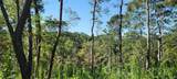 Lot 1 Emmons Ridge Road - Photo 9