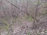 10801 Buckskin Road - Photo 1