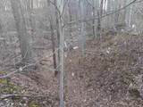 10801 Buckskin Road - Photo 3