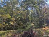  County Pike Road - Photo 5