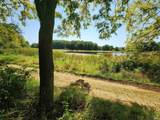 7050 Van Guilder Road - Photo 11