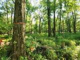 7050 Van Guilder Road - Photo 15